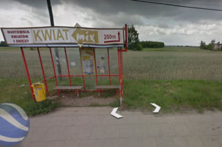 Pijany 19-latek zmarł na przystanku. Koledzy, którzy go zostawili, trafią do więzienia?