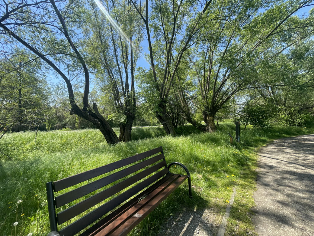 Kraków ma najdłuższy park w Polsce. Poznajcie Młynówkę Królewską! 