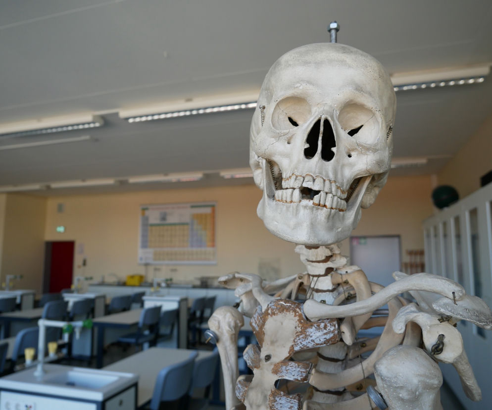 Matura próbna 2021: BIOLOGIA poziom rozszerzony. „Nienawidzę roślin”. PIERWSZE KOMENTARZE