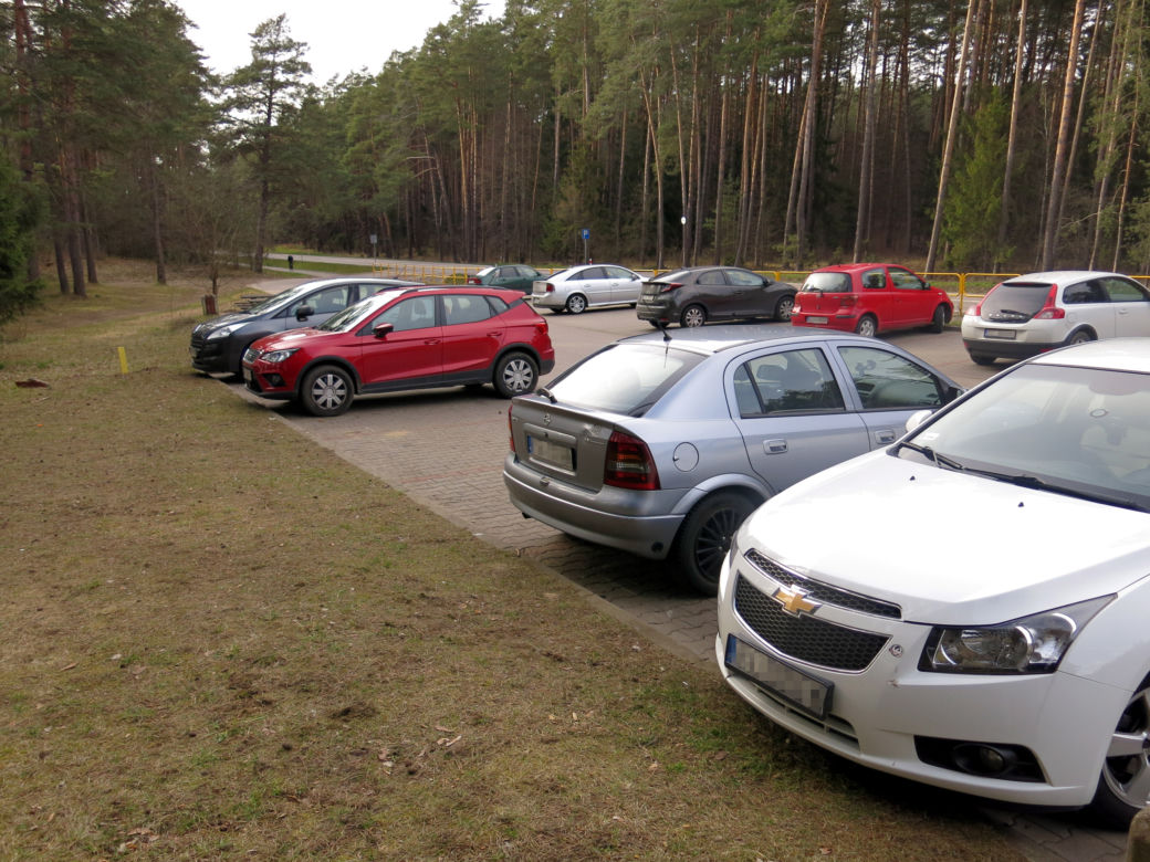 Parking leśny w Ogrodniczkach pod Białymstokiem
