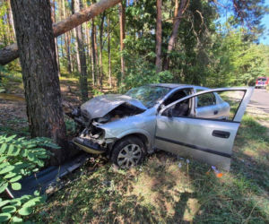 Auto uderzyło w drzewo