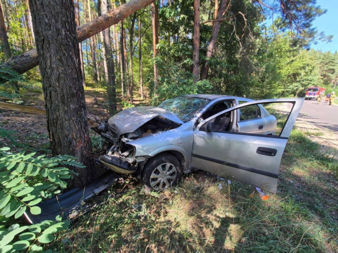 Auto uderzyło w drzewo
