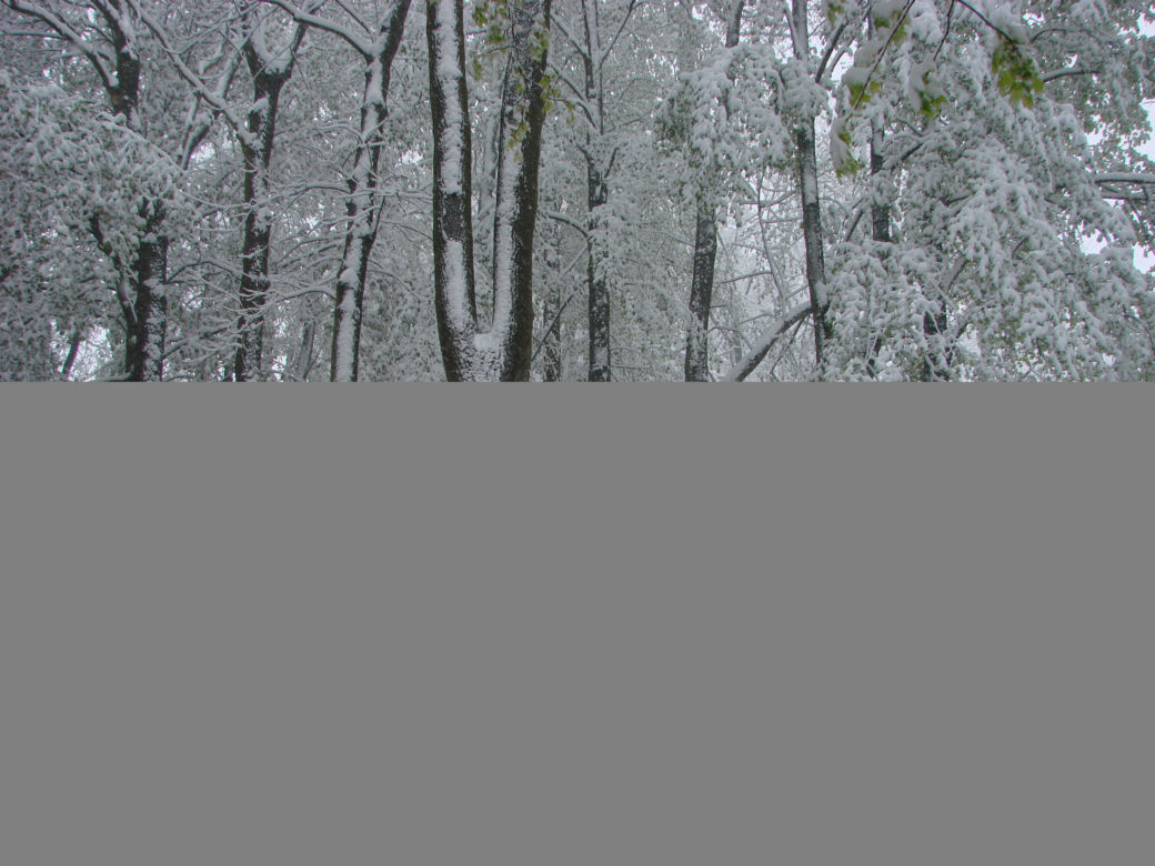 Chełmsko Śląskie - śnieg w maju