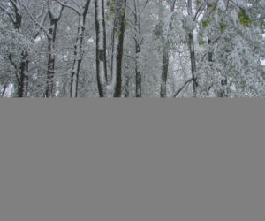 Chełmsko Śląskie - śnieg w maju