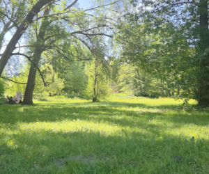 Tutaj w Bydgoszczy powstanie miejskie kąpielisko. Drewniane pomosty, trawiasta plaża i dużo zieleni