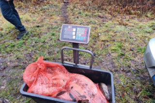 Afera nad jeziorem Bikcze. Wędkarze zgłosili się do pomocy, potem zabrali ryby