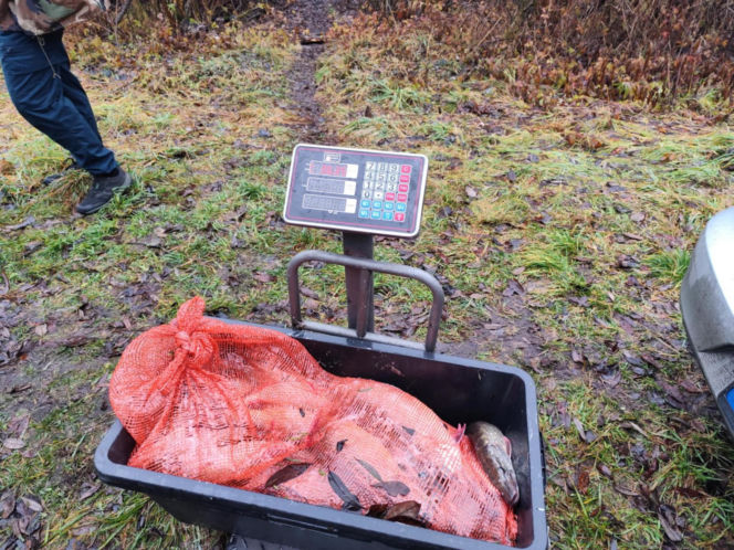 Afera nad jeziorem Bikcze. Wędkarze zgłosili się do pomocy, potem zabrali ryby