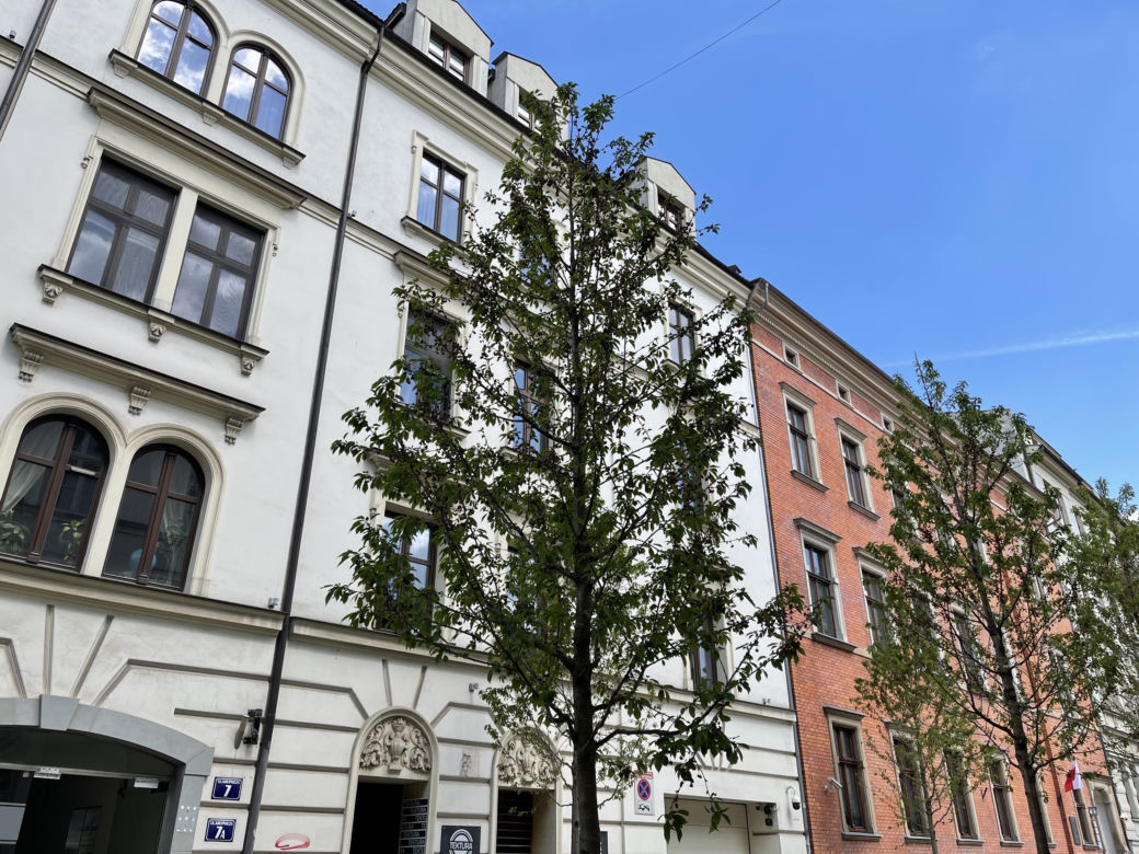 Zieleń w centrum miasta. Tak zmienia się ul. Krupnicza w Krakowie! 
