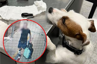 Przyleciał do Polski z 89 kapsułkami kokainy w żołądku. 40-latek połknął prawie kilogram narkotyku! [ZDJĘCIA]