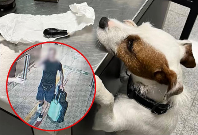 Przyleciał do Polski z 89 kapsułkami kokainy w żołądku. 40-latek połknął prawie kilogram narkotyku! [ZDJĘCIA]