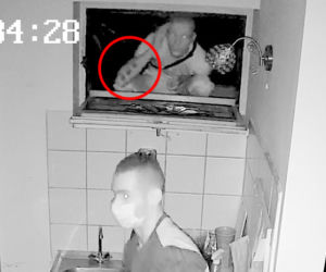 Włamanie do restauracji w Bydgoszczy. Rozpoznajesz tych mężczyzn?