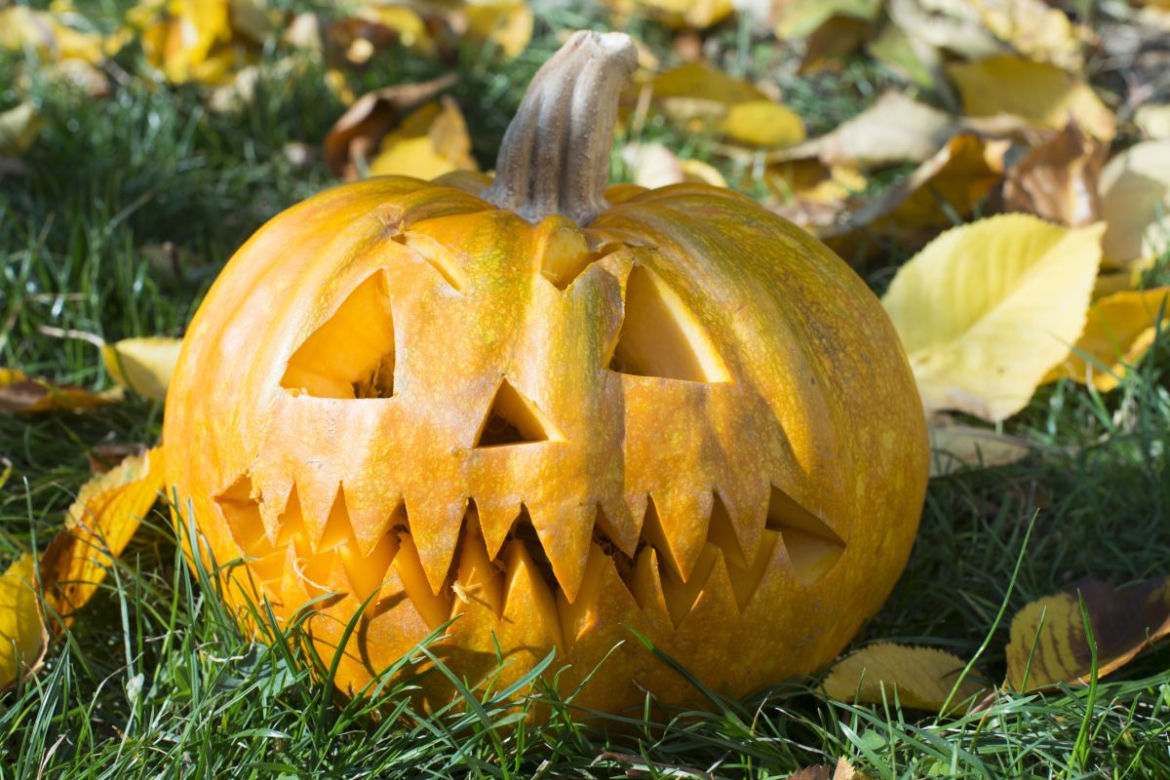 Dekoracje z dyni na Halloween