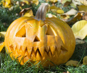Dynie na Halloween