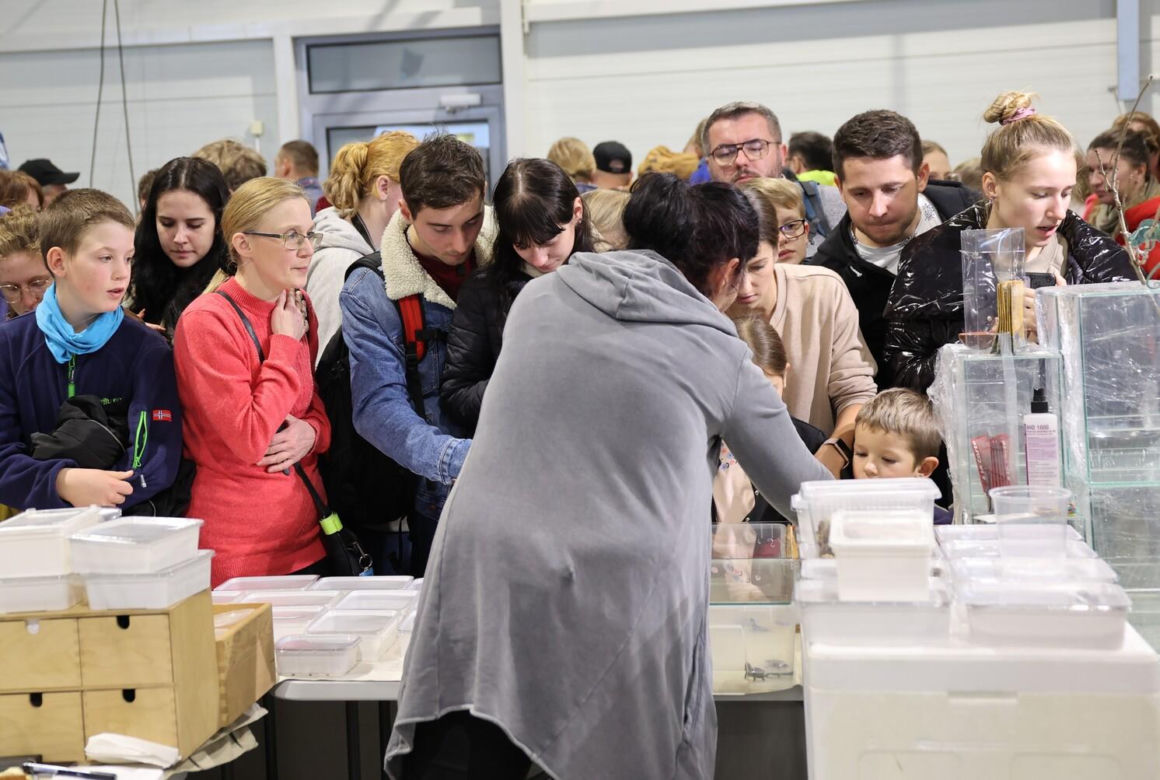   Egzotyczne zwierzęta i „miejska dżungla” w Targach Lublin