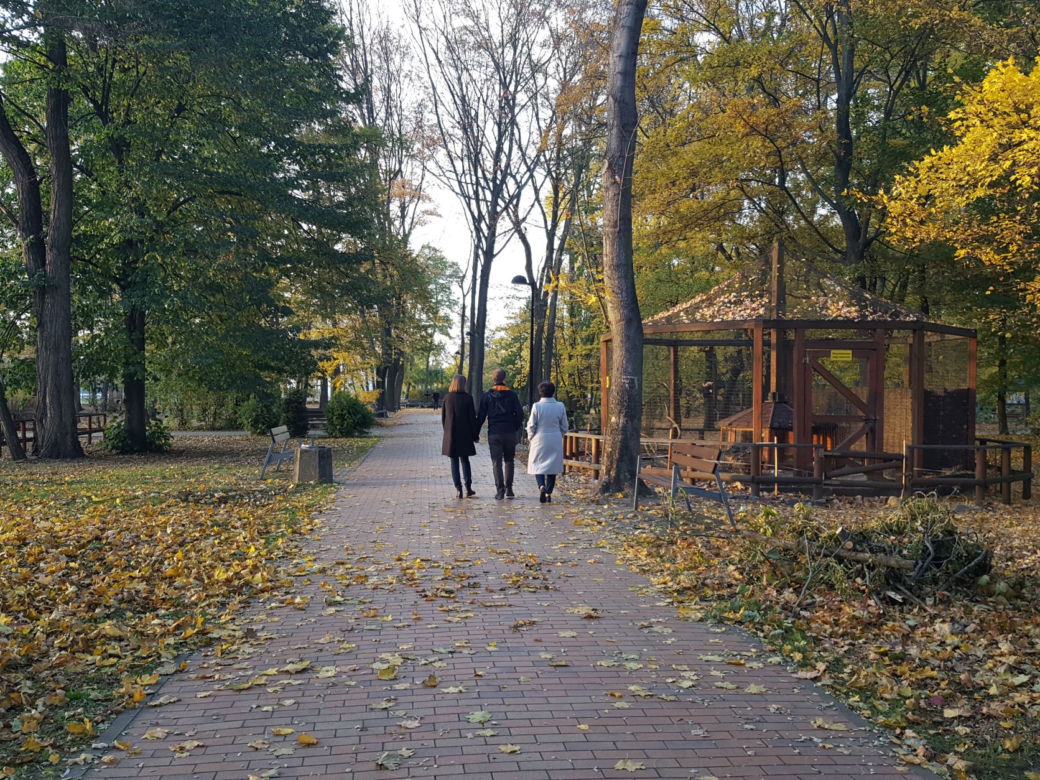 Park 1000-lecia w Lesznie na chwilę przed zachodem słońca