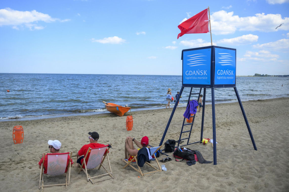 Sinice w Bałtyku