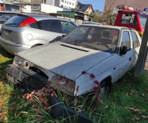 Wraki pojazdów znikają z krakowskich ulic. Strażnicy mają pełne ręce roboty 