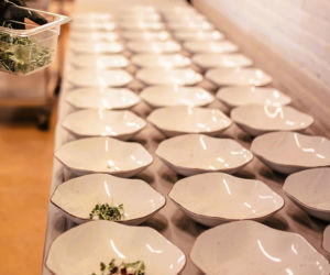 Polska rodzina serwowała obiad królowi Szwecji na polskiej zastawie i ręcznie wyszytych obrusach z Polski!