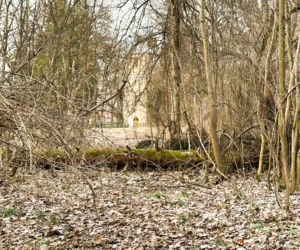 Rzeźba warta fortunę znaleziona w domu celebrytki? Nowe ustalenia po ćwierć wieku