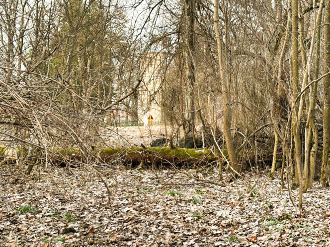 Rzeźba warta fortunę znaleziona w domu celebrytki? Nowe ustalenia po ćwierć wieku
