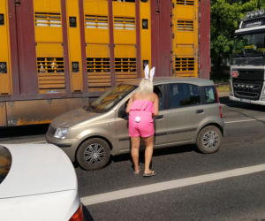 Juwenalia 2018 w Bydgoszczy. Przebrani studenci opanowali miasto! [ZDJĘCIA]