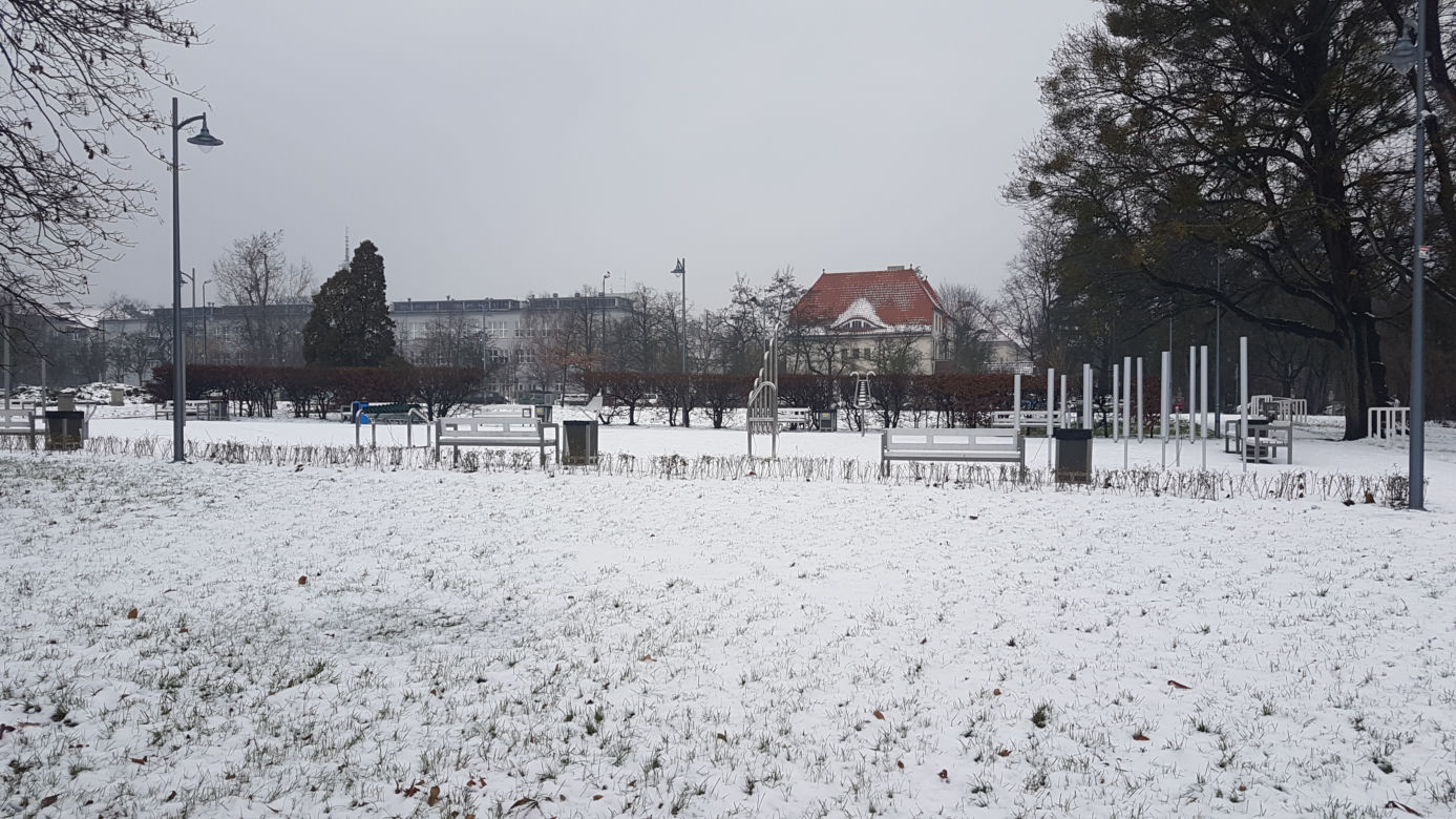 Na spacer po Toruniu