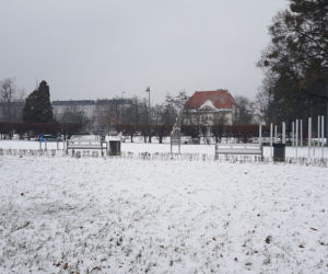 Na spacer po Toruniu