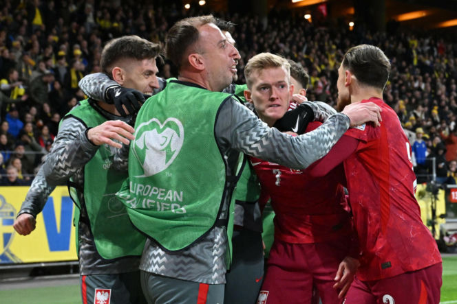 Mecz Szwecja - Polska