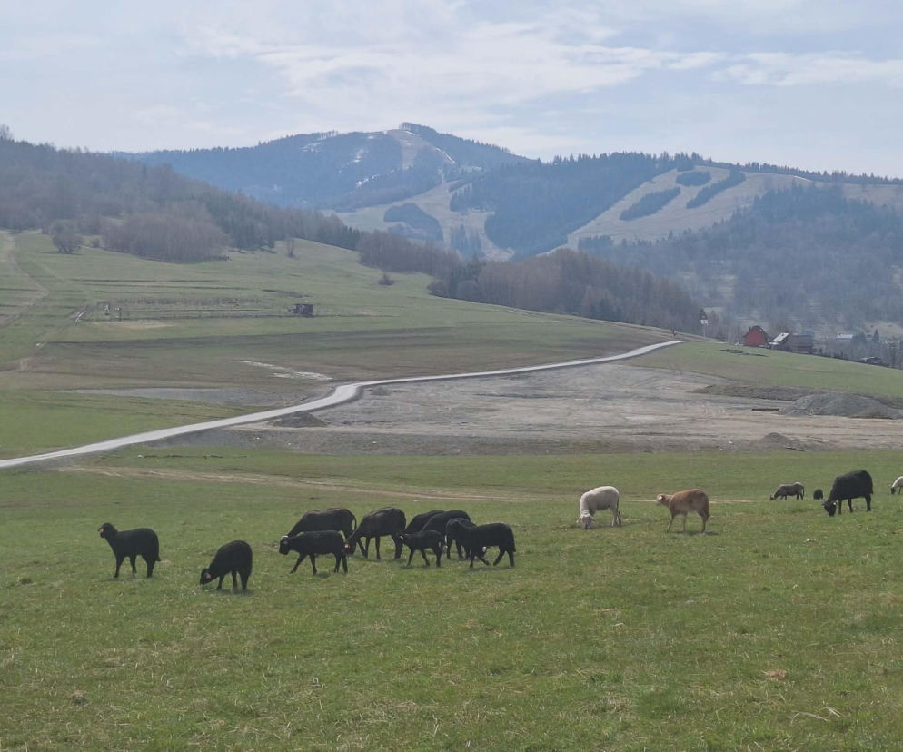 Niepozorna wieś, wielka historia. II wojna światowa odcisnęła tu ślad