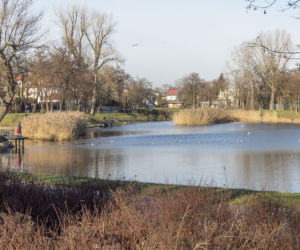 Wola bez woli, Włochy bez Włochów... Co oznaczają nazwy warszawskich dzielnic? [GALERIA]