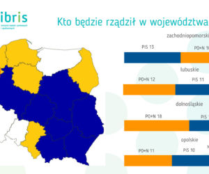 BADANIE STAYSTYCZNE - WYBORY