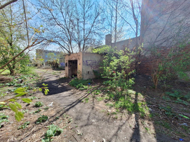 Uratował porzuconego noworodka przed śmiercią i zapadł się pod ziemię. Zaskakująca decyzja sądu