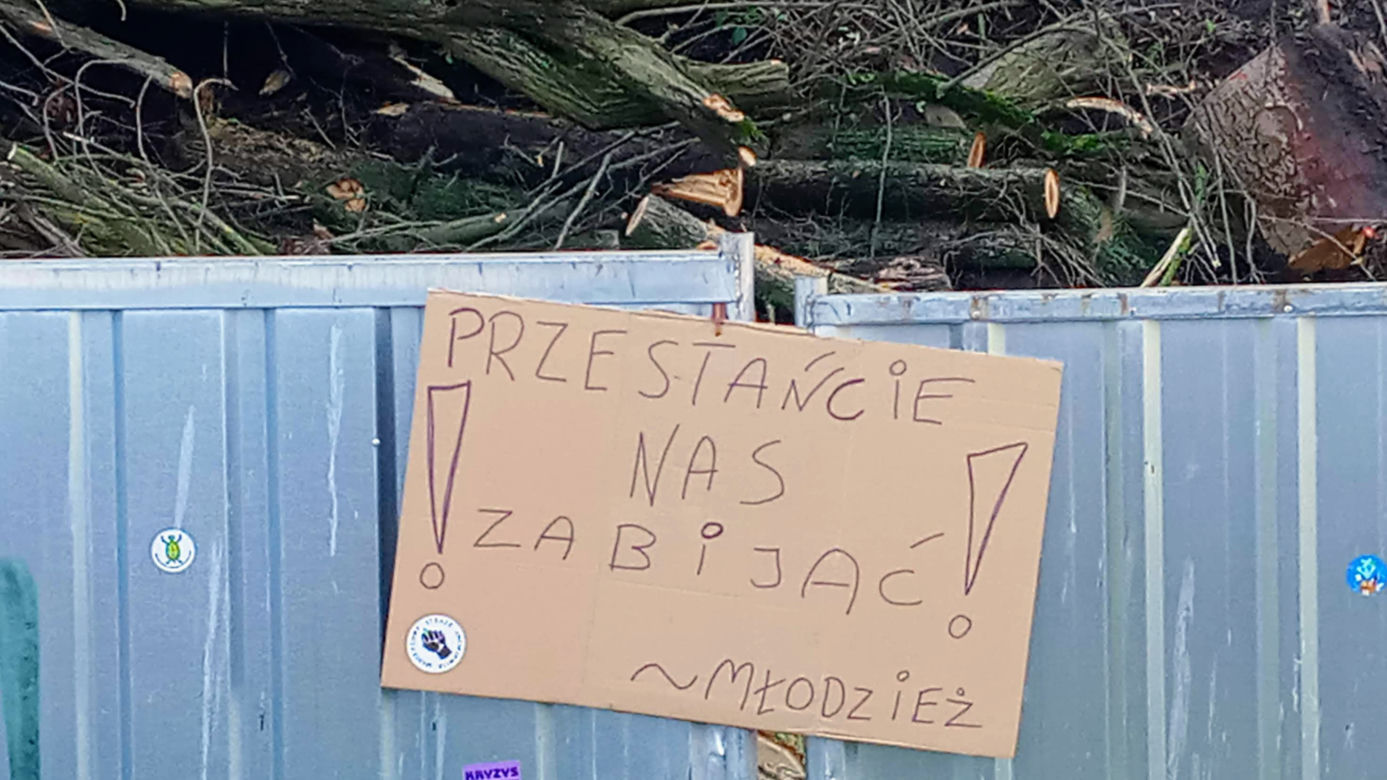 Drzewa zniknęły ze skarpy pod Zamkiem Książąt Pomorskich