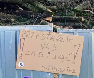 Drzewa zniknęły ze skarpy pod Zamkiem Książąt Pomorskich