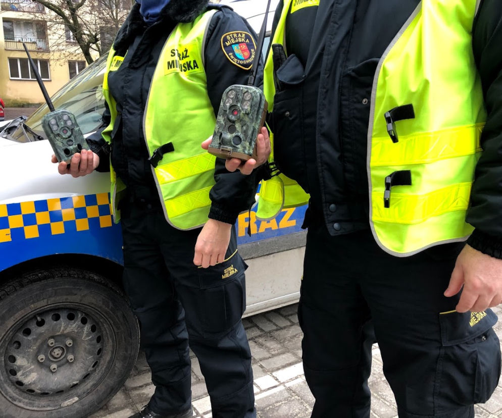 Fotopułapki pomogą łapać przestępców