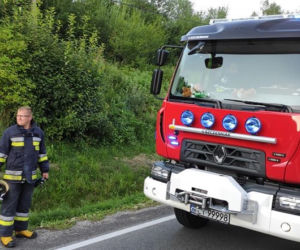 Wypadek w Dobrej. Zderzenie samochodu z konnym zaprzęgiem. Zwierzę nie żyje