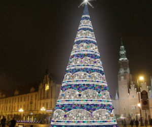 Choinka na wrocławskim rynku