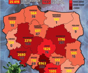 Koronawirus: Zobacz wykresy i prognozy – stan na 05.06 godz. 17.30