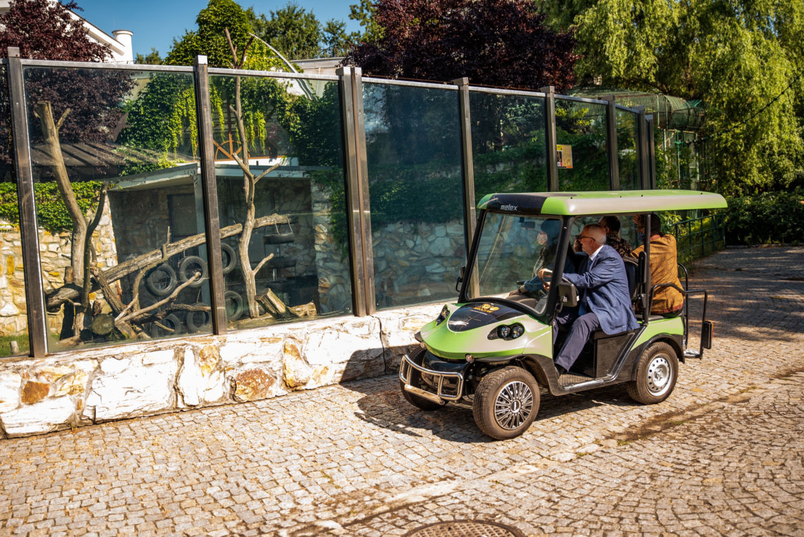 Ambasador Indonezji nadała imię młodej tygrysicy z wrocławskiego zoo