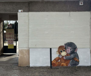 Artysta namalował mural z małpką Punch i wpadł w kłopoty! Zaskakujący finał