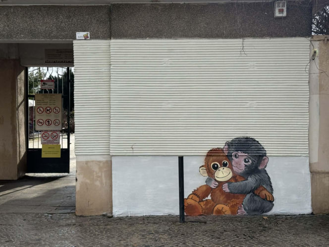 Artysta namalował mural z małpką Punch i wpadł w kłopoty! Zaskakujący finał