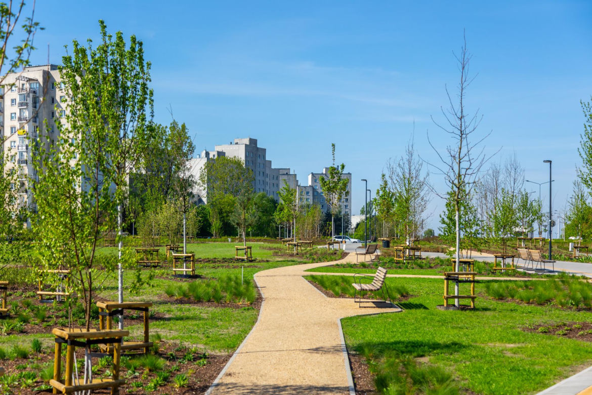 Park nad Południową Obwodnicą Warszawy na Ursynowie