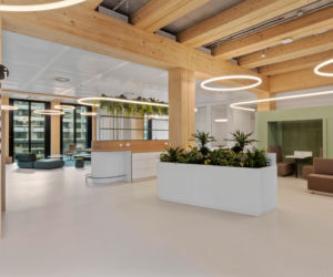 Timber Pioneer we Frankfurcie