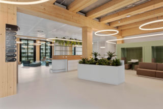 Timber Pioneer we Frankfurcie