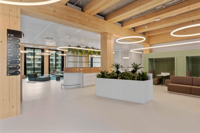 Timber Pioneer we Frankfurcie