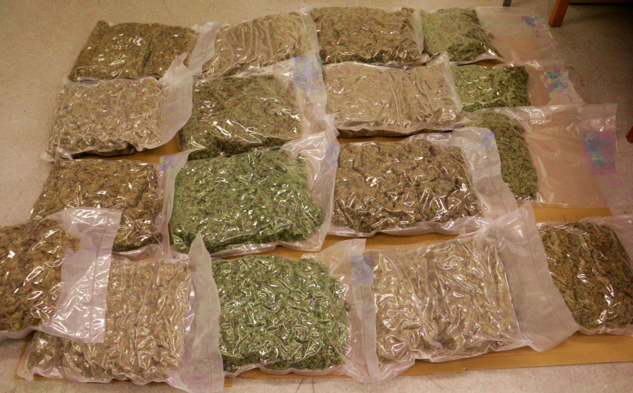 Miał aż 15 kg marihuany! 