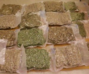 Miał aż 15 kg marihuany! 