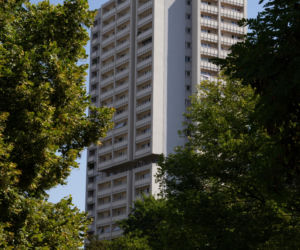 Haperowiec w Katowicach