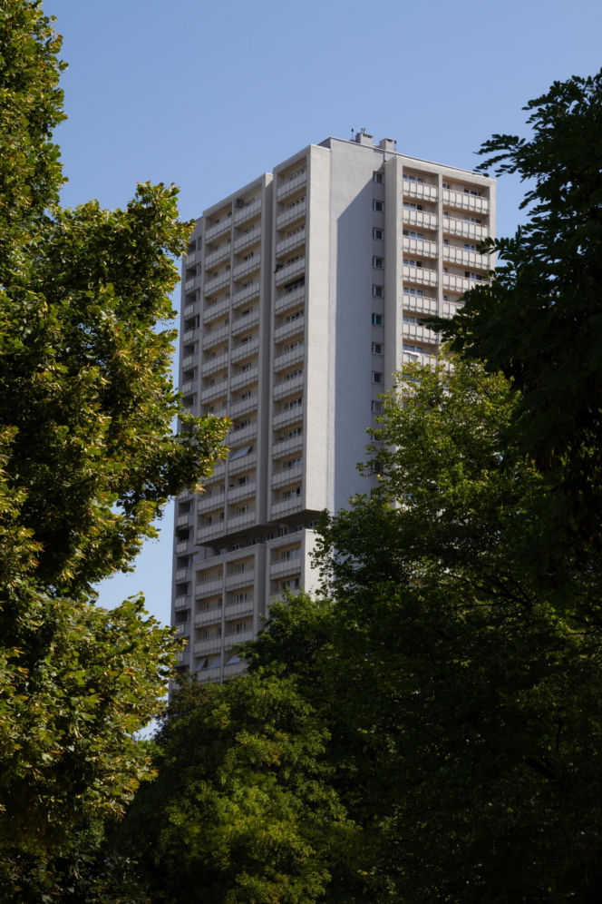 Haperowiec w Katowicach