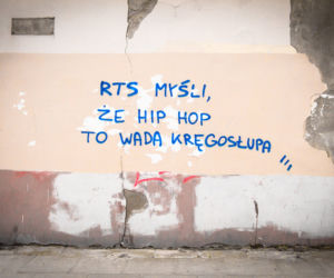 Widzew nosi czapkę z dupki od chleba, a ŁKS je komary... Derby Łodzi na murach